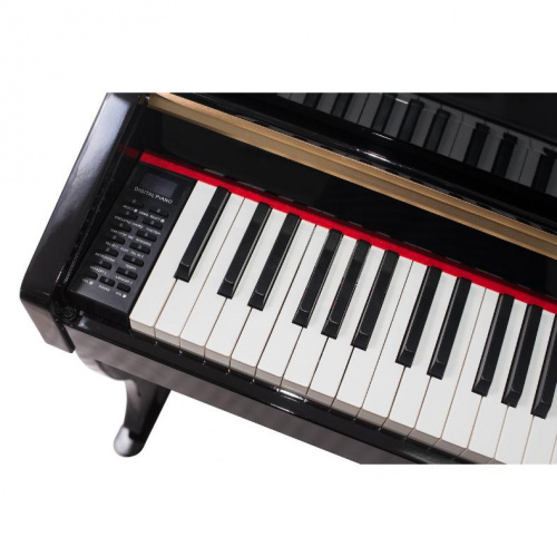 Цифрове піаніно Alfabeto Maestro (Black) BK - JCS.UA фото 3