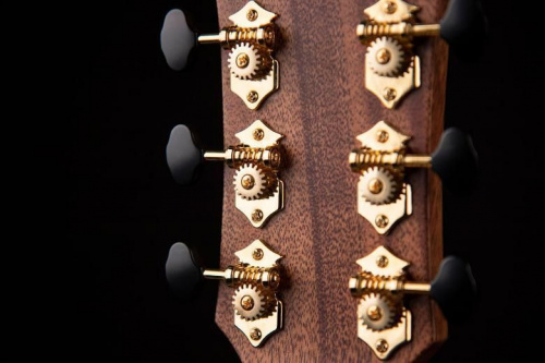 Электроакустическая гитара CORT GOLD-Edge - JCS.UA фото 8