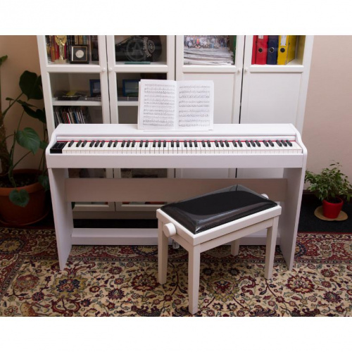 Цифрове піаніно Alfabeto Animato Assai WH (White) - JCS.UA фото 5