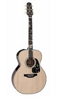Электроакустическая гитара TAKAMINE LTD2018 - JCS.UA