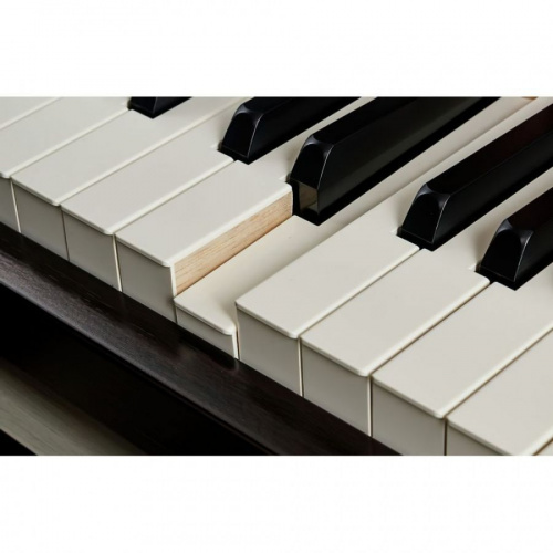 Цифровое пианино YAMAHA Clavinova CLP-745 (Rosewood) - JCS.UA фото 8