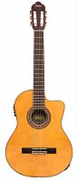 Класична гітара VALENCIA VC604CE - JCS.UA
