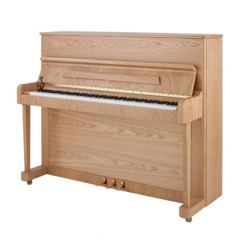 Акустическое фортепиано Petrof P118P1-4107 - JCS.UA