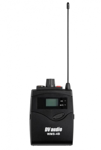 Радиосистема DV audio WMS-24B с гарнитурами - JCS.UA фото 4