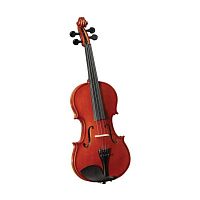 Скрипка Cervini HV-100 (4/4) - JCS.UA