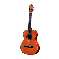 Класична гітара Antonio Sanchez S-1005 Cedar - JCS.UA