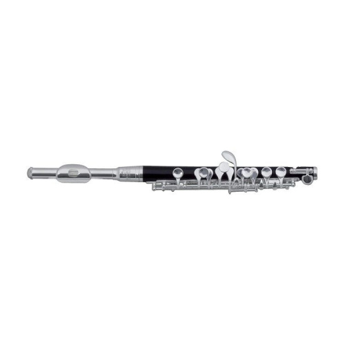 Флейта-пикколо Roy Benson PC-502 - JCS.UA