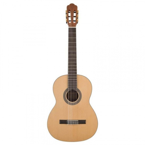 Классическая гитара Salvador Cortez CS-244 - JCS.UA
