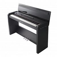 Цифровое пианино Pearl River PRK500BK - JCS.UA