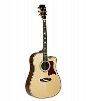 Електроакустична гітара Tanglewood TW1000 H SRC E - JCS.UA