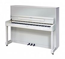 Акустическое фортепиано Petrof P118M1-0001 - JCS.UA