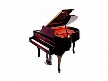 Акустичний рояль Petrof P 159 Bora-0051 - JCS.UA