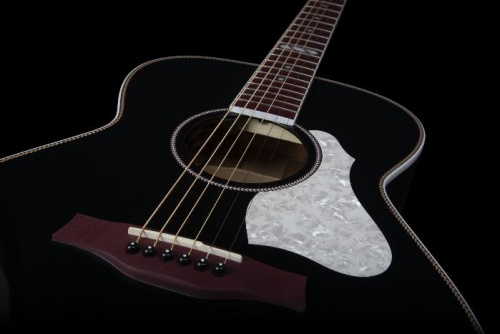 Электроакустическая гитара SEAGULL 047734 - Artist Limited Tuxedo Black EQ with TRIC - JCS.UA фото 5