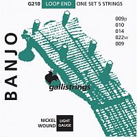 Струни для банджо Gallistrings G210 - JCS.UA