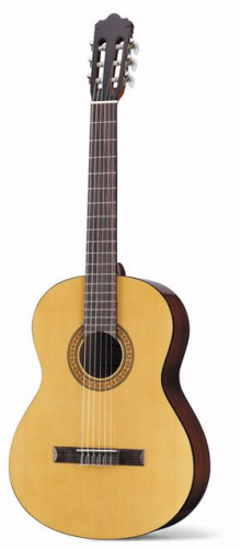 Класична гітара Walden N350 - JCS.UA