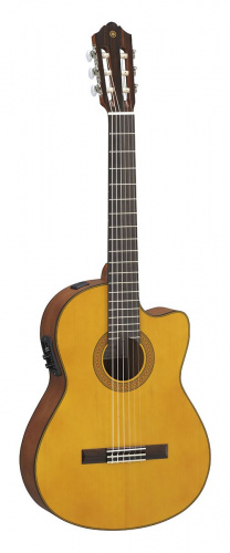 Електроакустична гітара Yamaha CGX122MCC - JCS.UA
