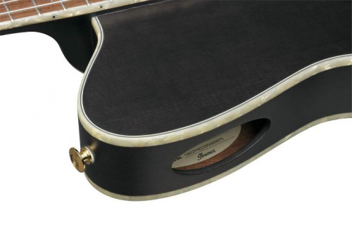 Гітара класична IBANEZ TOD10N-BKF  - JCS.UA фото 4