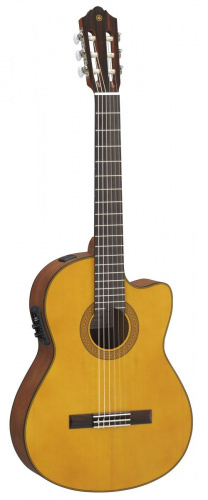 Електроакустична гітара Yamaha CGX122MSC - JCS.UA