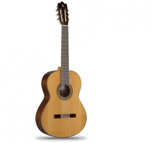 Классическая гитара Alhambra 3C - JCS.UA