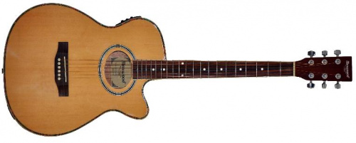 Электроакустическая гитара Maxwood MJ-6606/CEQ - JCS.UA фото 2