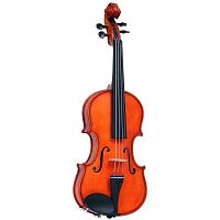 Скрипка GLIGA Violin1/10Genial II - JCS.UA