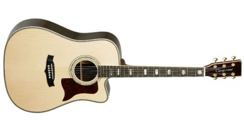 Электроакустическая гитара Tanglewood TW1000 H SRC E - JCS.UA фото 2