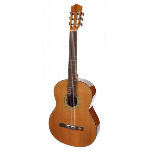 Классическая гитара Salvador Cortez CC-10L - JCS.UA фото 2