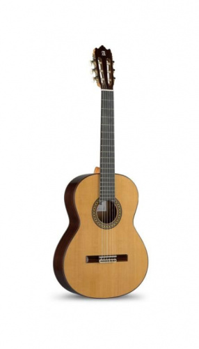 Классическая гитара Alhambra 4P BAG 4/4 - JCS.UA фото 2