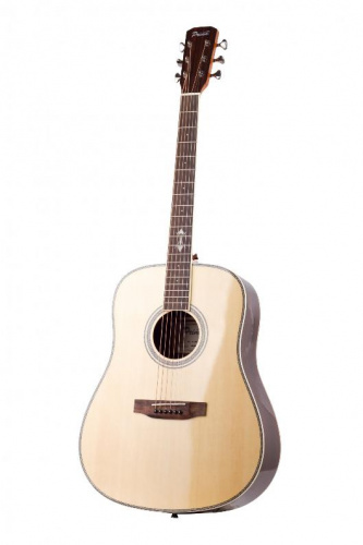 Акустическая гитара Prima DSAG205 - JCS.UA фото 3