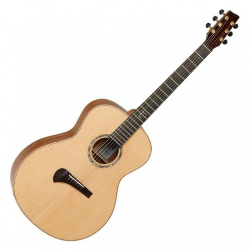 Акустическая гитара Tanglewood TSM1 - JCS.UA фото 2