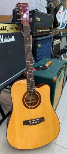 Акустическая гитара Maxwood MDS-6663C - JCS.UA фото 4