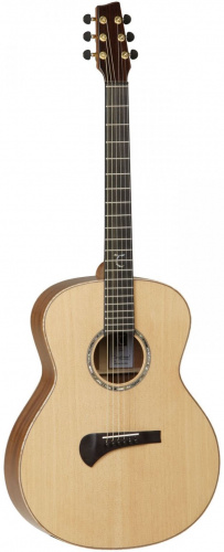 Акустическая гитара Tanglewood TSM1 - JCS.UA